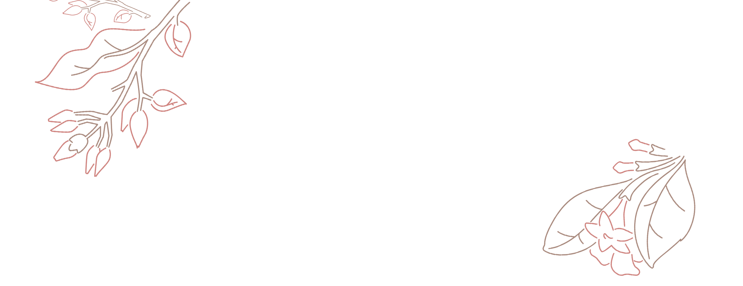 Barcino Set - Imagen 4